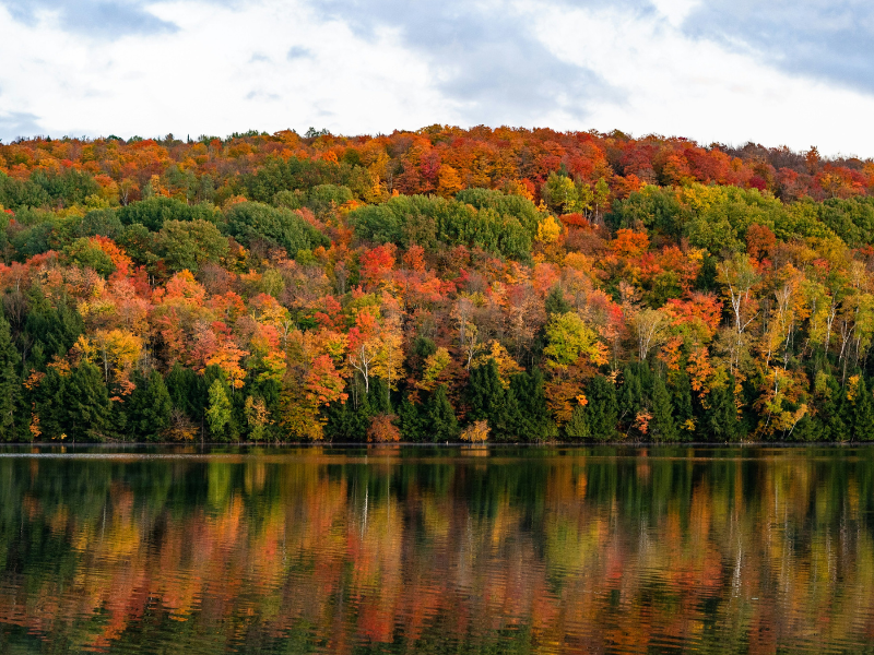 Woodstock, Vermont